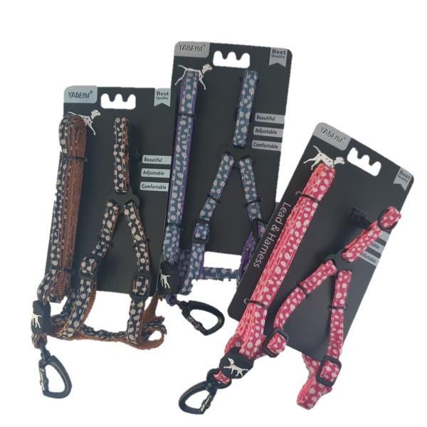Extra Small Pet Leash & Harness Set - Assorted Colours - 4aPet