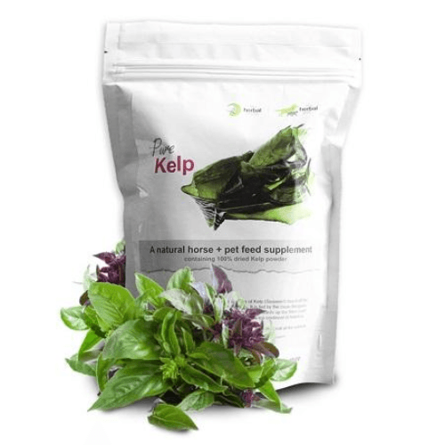 Herbal Pet Kelp Powder Supplement for Dogs - 4aPet